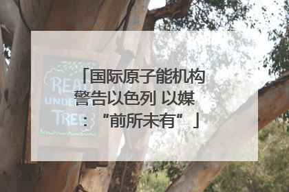 国际原子能机构警告以色列 以媒：“前所未有”