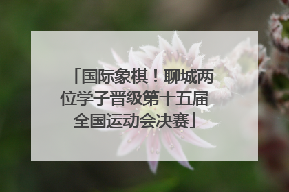 国际象棋！聊城两位学子晋级第十五届全国运动会决赛