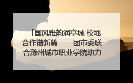 国风雅韵润亭城 校地合作谱新篇——团市委联合滁州城市职业学院助力传统文化“破圈”绽放