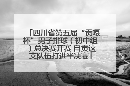 四川省第五届“贡嘎杯”男子排球（初中组）总决赛开赛 自贡这支队伍打进半决赛
