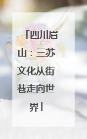 四川眉山：三苏文化从街巷走向世界