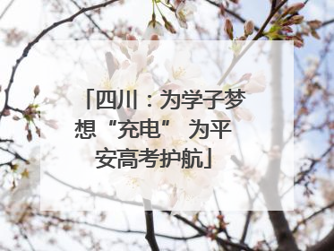 四川：为学子梦想“充电” 为平安高考护航