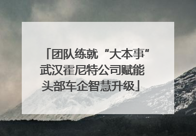 团队练就“大本事” 武汉霍尼特公司赋能头部车企智慧升级