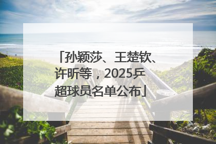 孙颖莎、王楚钦、许昕等，2025乒超球员名单公布