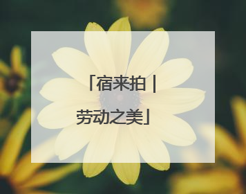 宿来拍｜劳动之美