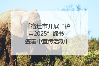 宿迁市开展“护苗2025”绿书签集中宣传活动