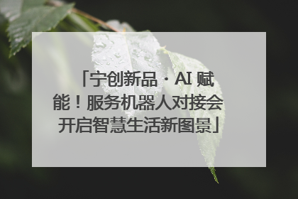 宁创新品・AI 赋能！服务机器人对接会开启智慧生活新图景