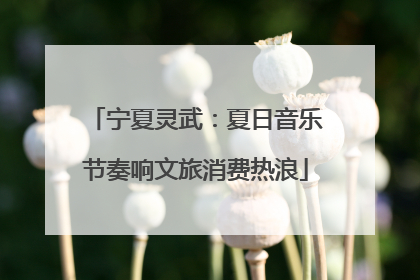 宁夏灵武：夏日音乐节奏响文旅消费热浪