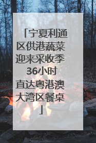 宁夏利通区供港蔬菜迎来采收季 36小时直达粤港澳大湾区餐桌