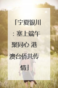 宁夏银川：塞上端午聚同心 港澳台侨共传情