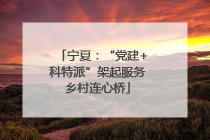 宁夏：“党建+科特派”架起服务乡村连心桥