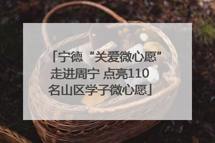 宁德“关爱微心愿”走进周宁 点亮110名山区学子微心愿
