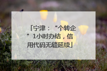 宁津：“个转企”1小时办结，信用代码无缝延续