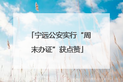 宁远公安实行“周末办证”获点赞