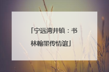 宁远湾井镇：书林翰墨传情谊