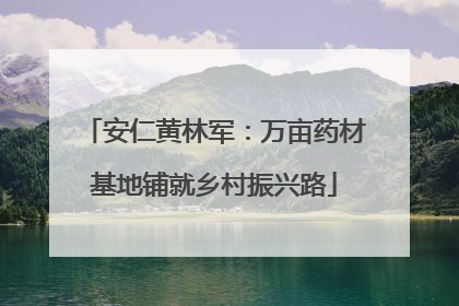 安仁黄林军：万亩药材基地铺就乡村振兴路
