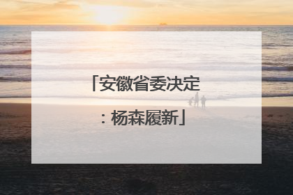 安徽省委决定：杨森履新