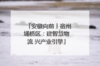 安徽向前丨宿州埇桥区：建智慧物流 兴产业引擎