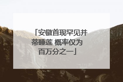 安徽首现罕见并蒂睡莲 概率仅为百万分之一