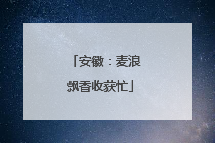 安徽：麦浪飘香收获忙