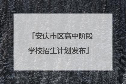 安庆市区高中阶段学校招生计划发布