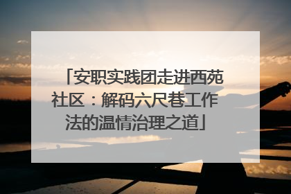 安职实践团走进西苑社区：解码六尺巷工作法的温情治理之道