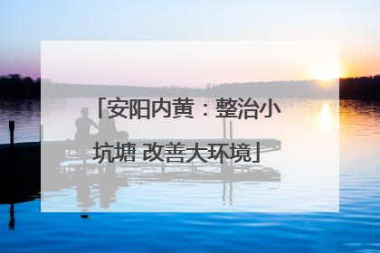 安阳内黄：整治小坑塘 改善大环境