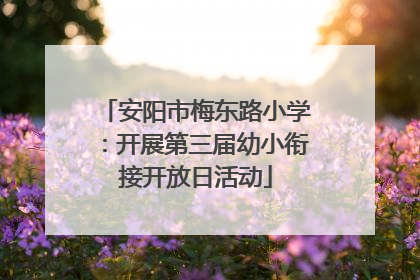 安阳市梅东路小学：开展第三届幼小衔接开放日活动