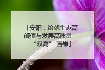 安阳：绘就生态高颜值与发展高质量 “双高” 画卷