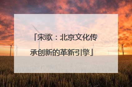 宋歌：北京文化传承创新的革新引擎