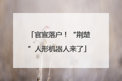 官宣落户！“荆楚”人形机器人来了