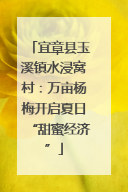宜章县玉溪镇水浸窝村：万亩杨梅开启夏日“甜蜜经济”