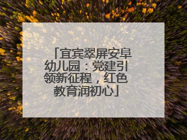 宜宾翠屏安阜幼儿园：党建引领新征程，红色教育润初心