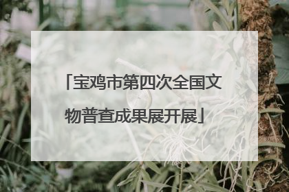 宝鸡市第四次全国文物普查成果展开展