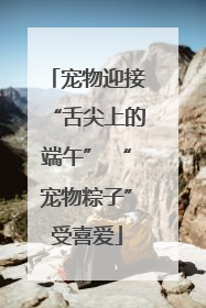 宠物迎接“舌尖上的端午” “宠物粽子”受喜爱