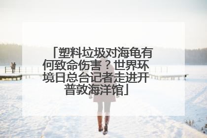 塑料垃圾对海龟有何致命伤害？世界环境日总台记者走进开普敦海洋馆