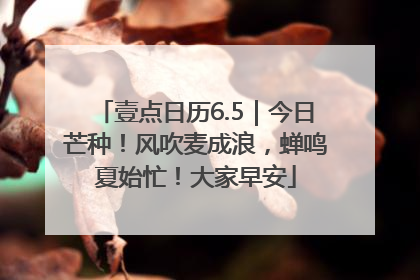 壹点日历6.5｜今日芒种！风吹麦成浪，蝉鸣夏始忙！大家早安
