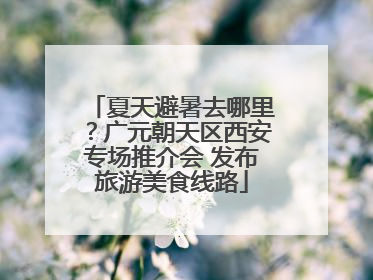 夏天避暑去哪里？广元朝天区西安专场推介会 发布旅游美食线路