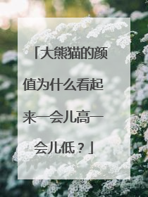 大熊猫的颜值为什么看起来一会儿高一会儿低？