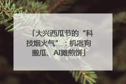 大兴西瓜节的“科技烟火气”：机器狗搬瓜、AI摊煎饼