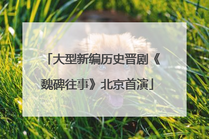 大型新编历史晋剧《魏碑往事》北京首演