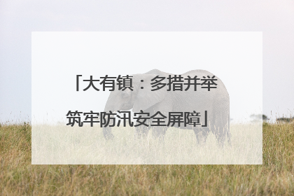 大有镇：多措并举筑牢防汛安全屏障