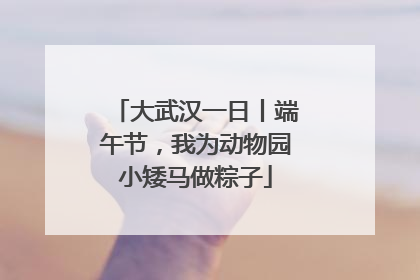 大武汉一日丨端午节，我为动物园小矮马做粽子
