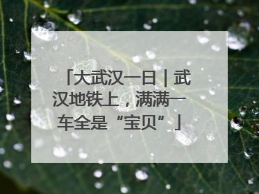 大武汉一日｜武汉地铁上，满满一车全是“宝贝”