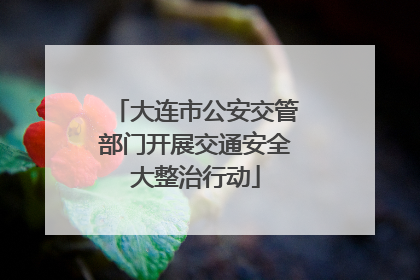 大连市公安交管部门开展交通安全大整治行动