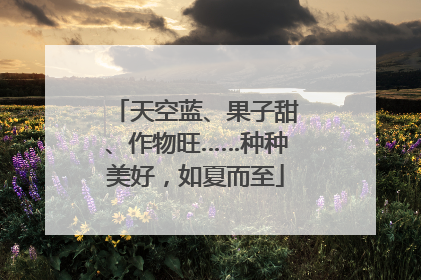 天空蓝、果子甜、作物旺……种种美好，如夏而至