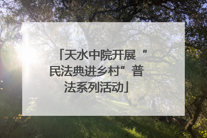 天水中院开展“民法典进乡村”普法系列活动