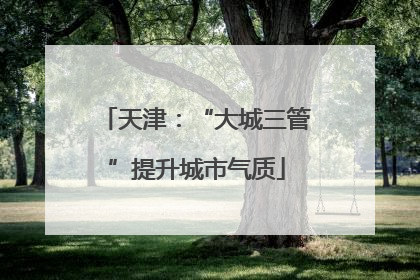 天津：“大城三管”提升城市气质