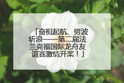 奋楫起航、劈波斩浪——第二届法兰克福国际龙舟友谊赛激情开桨！
