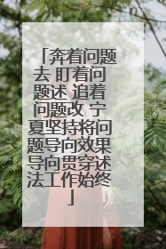 奔着问题去 盯着问题述 追着问题改 宁夏坚持将问题导向效果导向贯穿述法工作始终